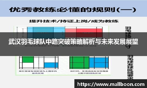 武汉羽毛球队中路突破策略解析与未来发展展望